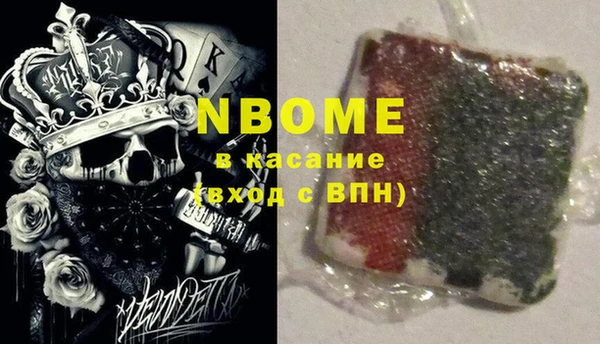 apvp Бородино